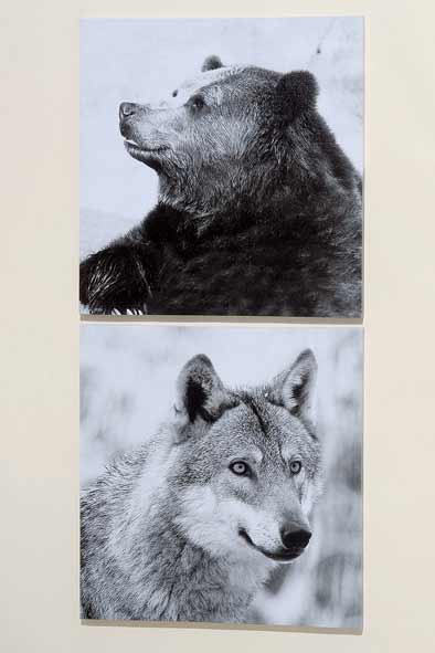 Bild BÄR + WOLF 2er-Set Kunstdruck auf Keilrahmen (456070)