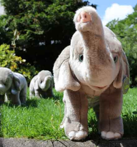 Förster Elefant stehend (7250)