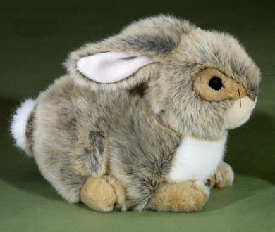 Förster Hase Kaninchen (2725)
