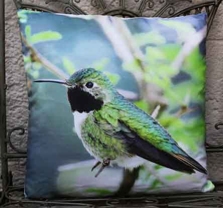 Kissen Vogel Kolibri 45x45 cm (83399a)