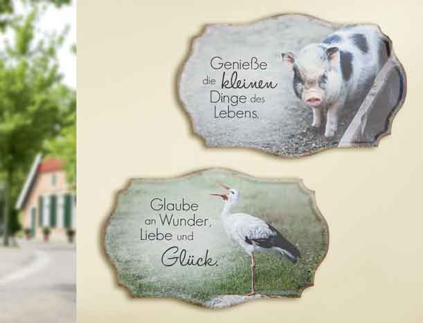 Schild Glück bunt mit Spruch 30 x 19 cm (G67236)