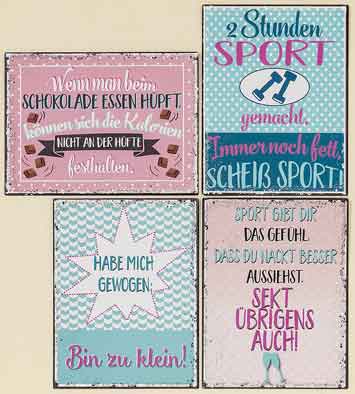 Schild Sport/Gewicht mit Spruch 40x30 cm (835220)