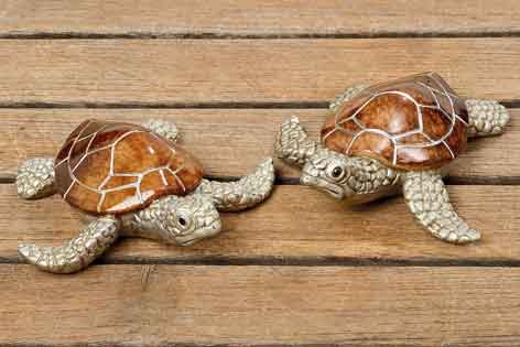 Schildkröte Bijan 2er-Set (261750) 11 cm