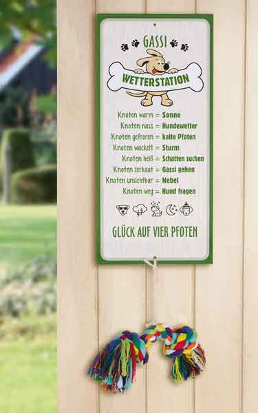 Schild Wetterstation Hund Gassi witzig 30 x 14 cm Metall (G46944)